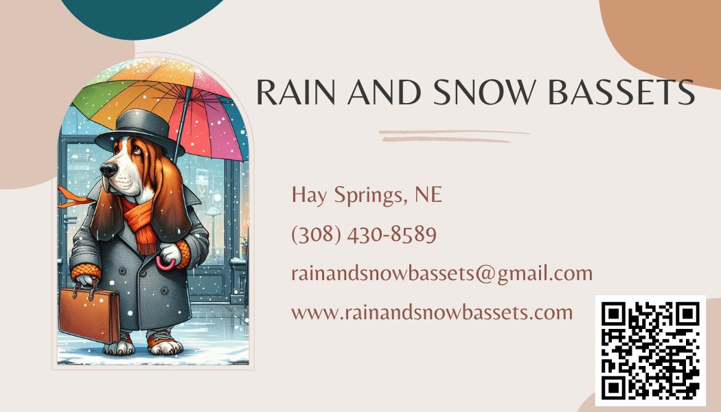 Contact Rain And Snow Bassets from Basset Hounds from Hay Springs, Nebraska