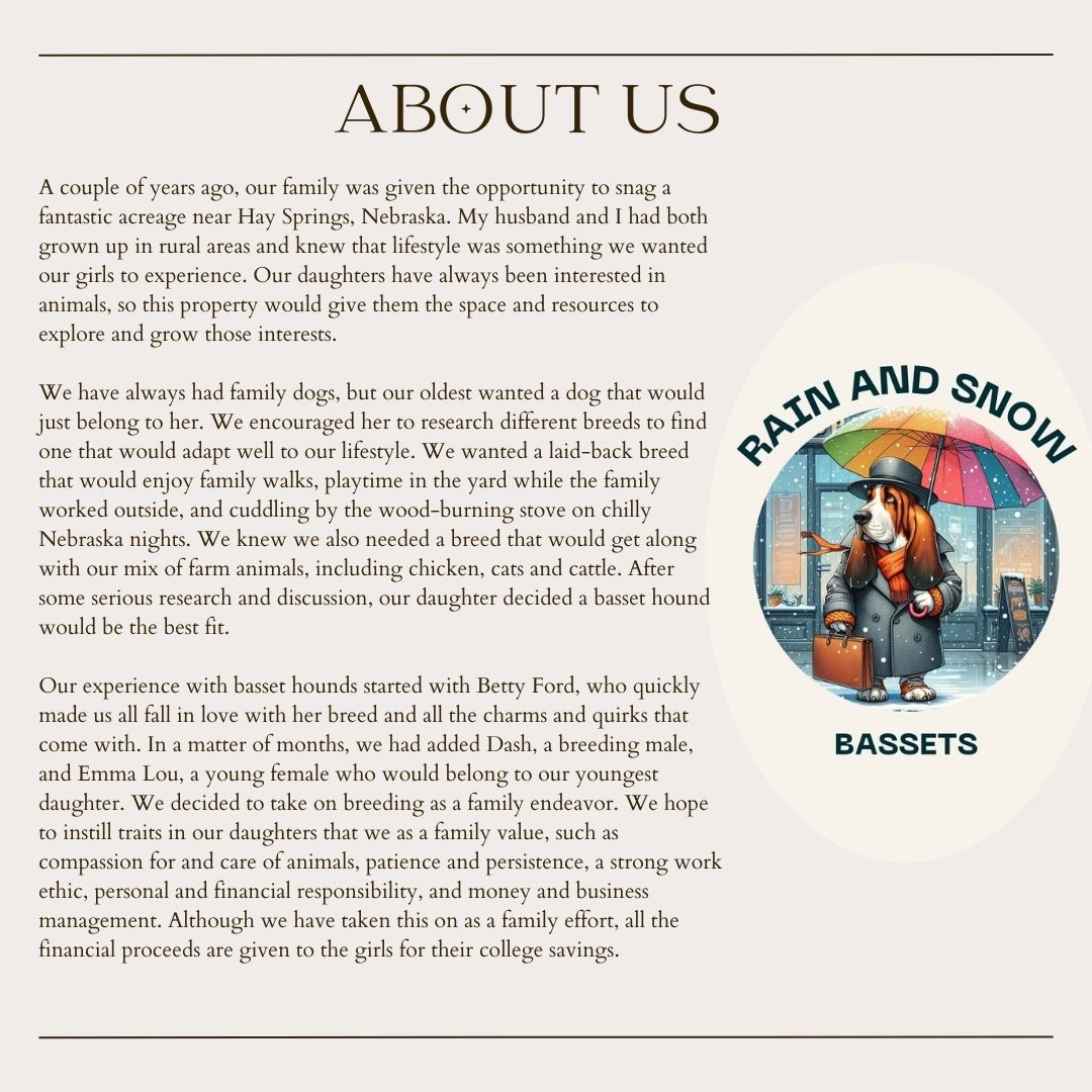 RainAndSnowBassets Hay Springs Bassets About Us